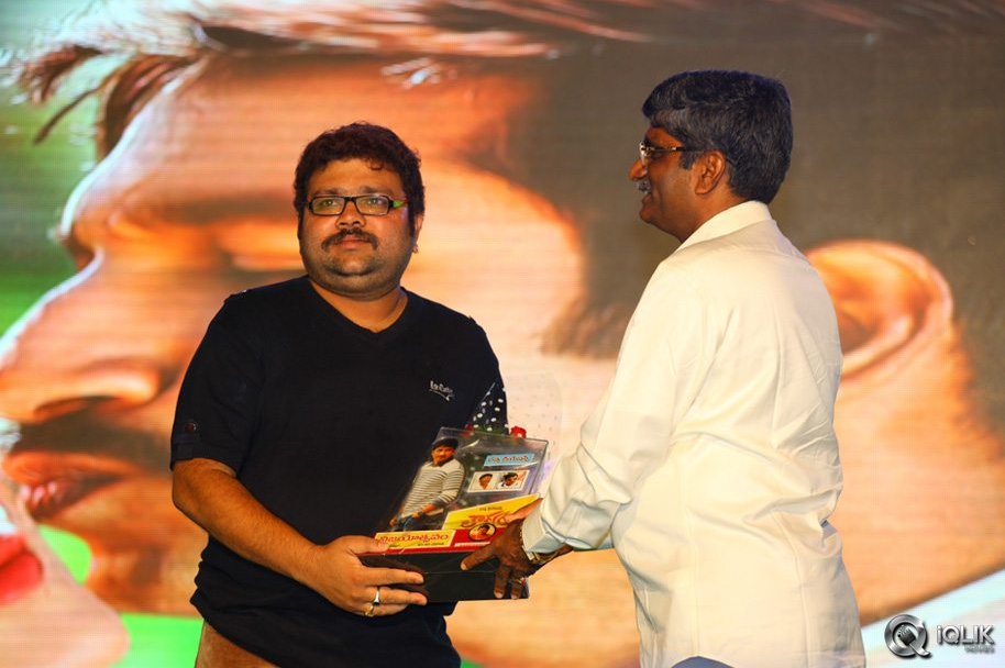 Loukyam-Movie-Audio-Success-Function